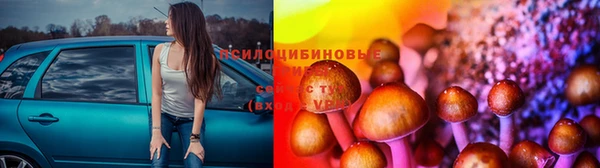 PSILOCYBIN Горно-Алтайск